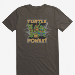 ninja turtles turtle power